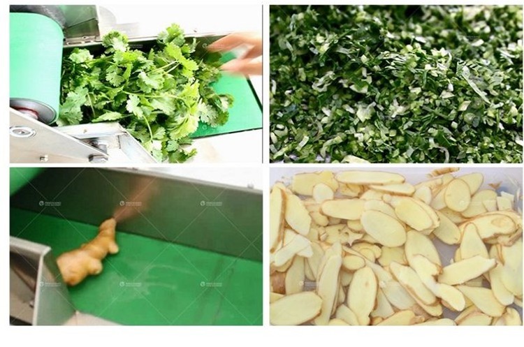 Commerical Automatic Stainless Steel Bean Sprout Okra Coriander Cutter