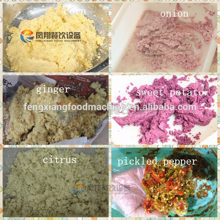 Ginger Paste Making Machine Garlic Cooked Potato Mashing Crushing Machine