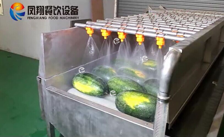 High Pressure Spray Watermelon Mango Apple  Orange Citrus Fruit And Vegetable Brush Washing Machine