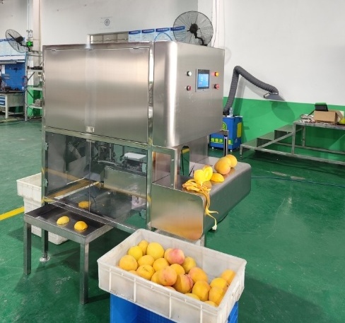 Fully automatic Mango peeling and corer machine Commercial mango peeling mango peeling machine fruit vegetable apple pear peeler