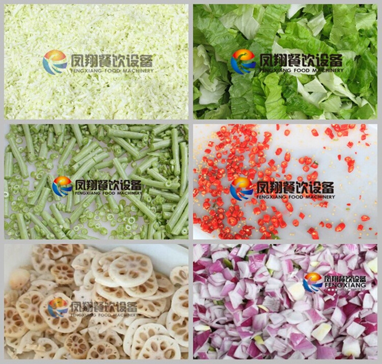 China Factory Supply Ce-approved Electric Vegetable Cutter Lettuce Slicer