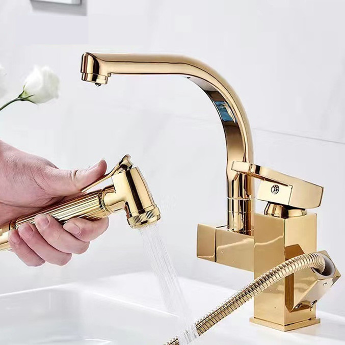 Kitchen faucet household dishwashing pool  vegetable basin sink cold and hot draw type faucet retractable  rotary