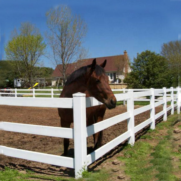 Plastic PVC Horse fence Black Vinyl fencing