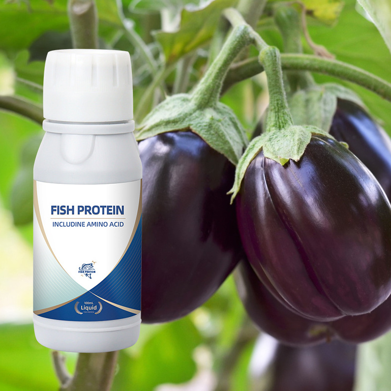 Biofertilizer for best growth of potato papaya pumpkin bell pepper crops