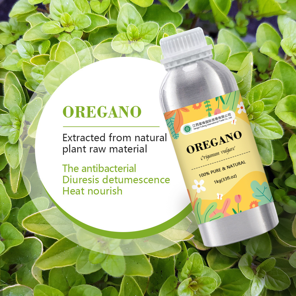 Organic Oregano Essential Oil | Wild Marjoram Oil -100% Pure & Natural Origanum vulgare Plant Extract, High Carvacrol | Bulk 1kg