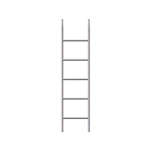 Construction Straight Scaffolding Ladder