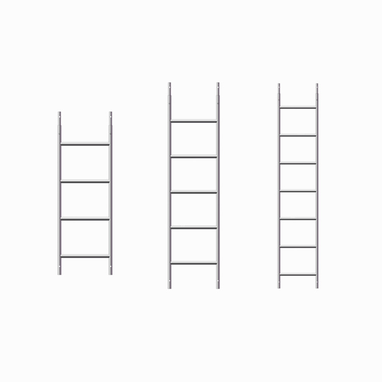 Construction Straight Scaffolding Ladder