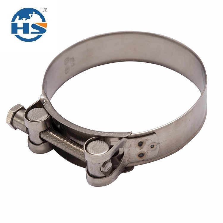 Hot sale Stainless Steel T Bolt Spring Hose Clamp