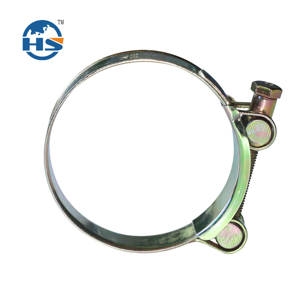 Hot sale Stainless Steel T Bolt Spring Hose Clamp