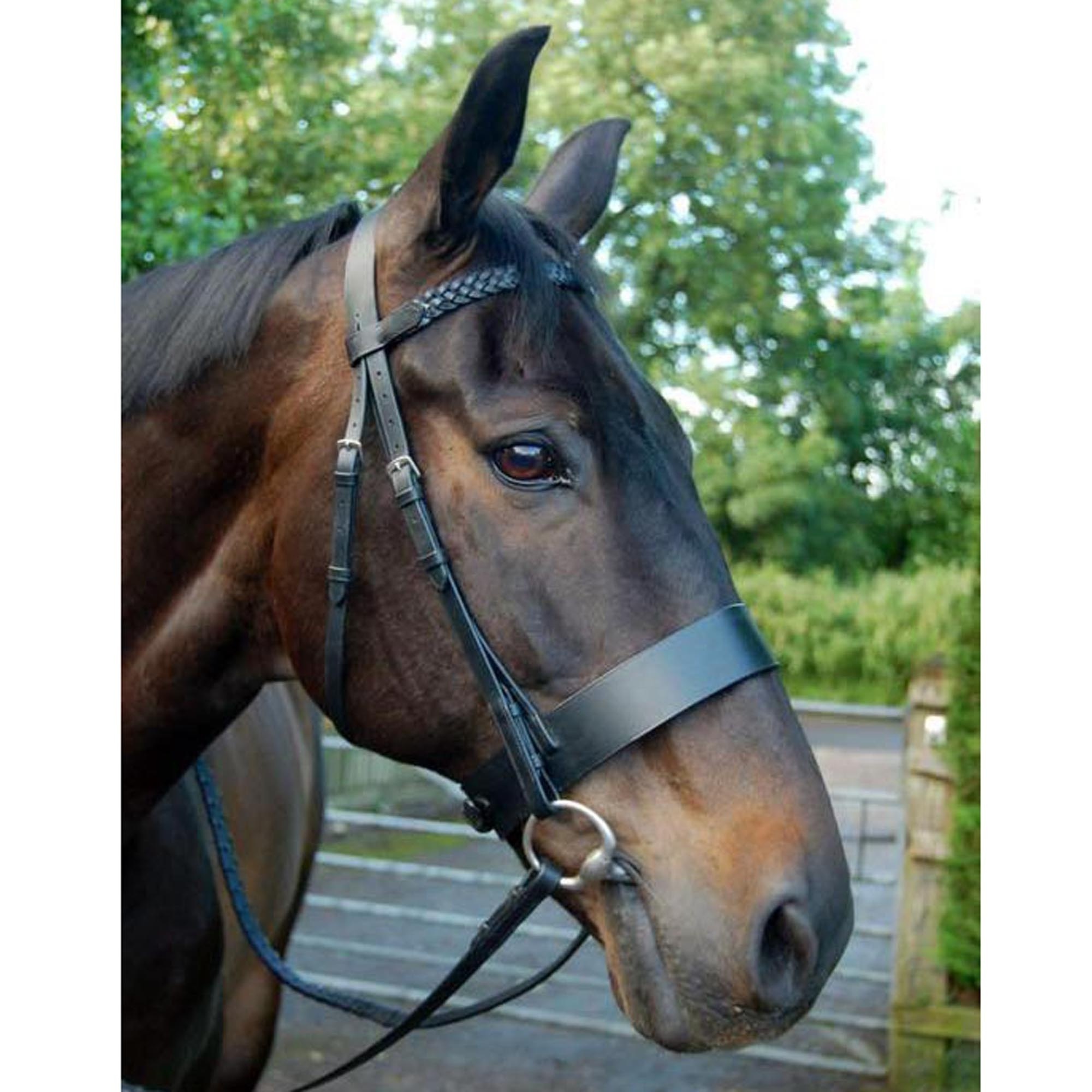 Premium Quality - Italian Cow Harness Leather - Hunter Bridle - Braided Brow-band - English Nose-band - Braided Leather Reins