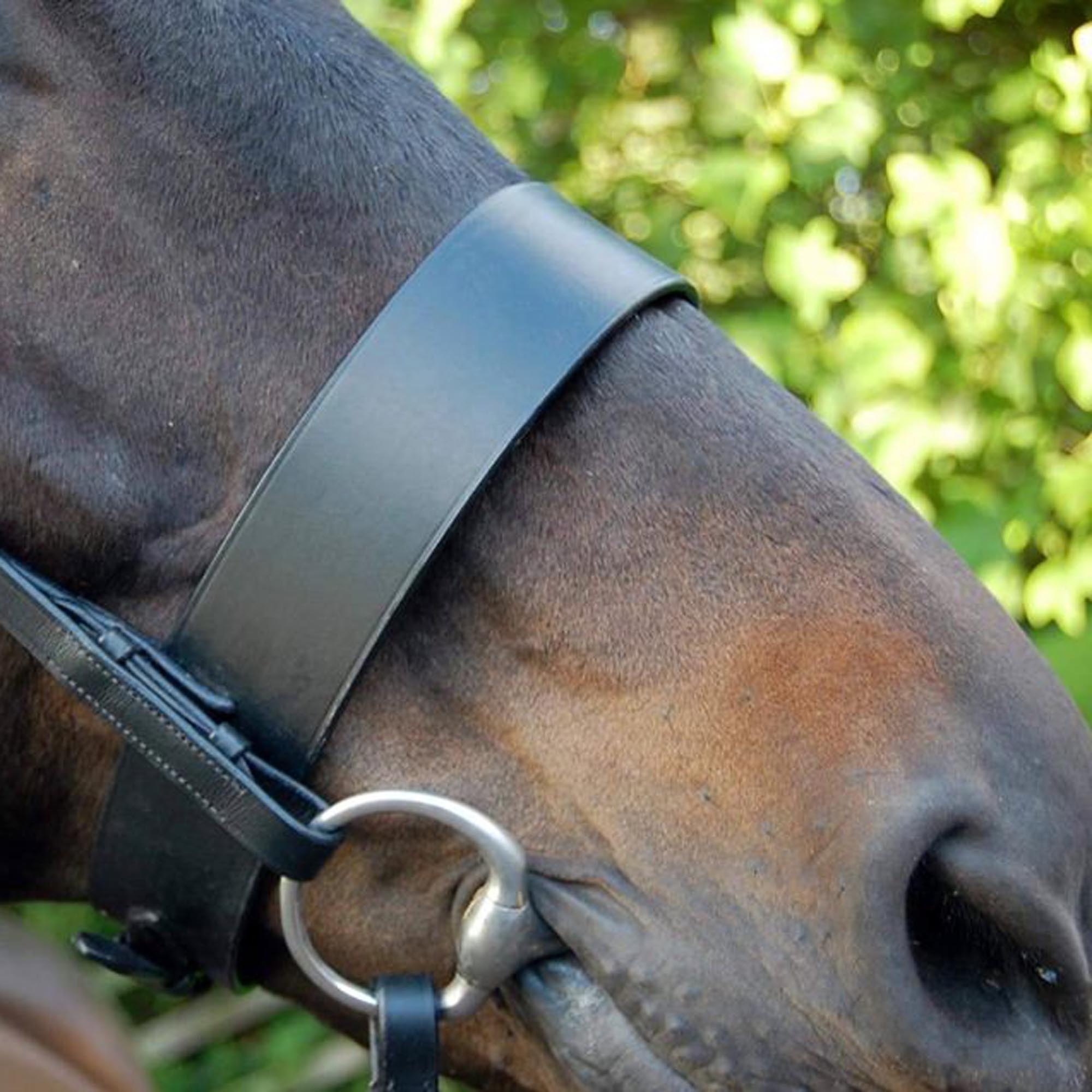 Premium Quality - Italian Cow Harness Leather - Hunter Bridle - Braided Brow-band - English Nose-band - Braided Leather Reins