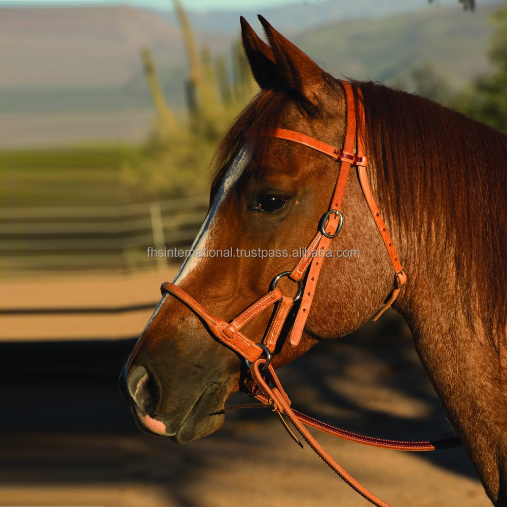 Best Quality - Side Pull Leather Horse Bridle - Western Bitless Bridle with American Cow Hide Harness