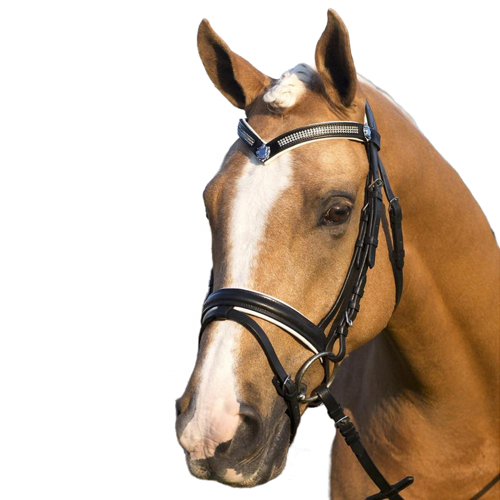 Best Quality White Padded Hanoverian noseband V Shape Brow band American Cow Harness Leather Horse Bridle