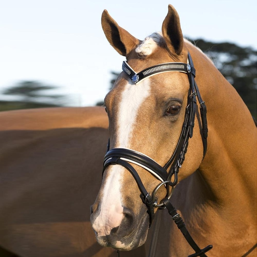 Best Quality White Padded Hanoverian noseband V Shape Brow band American Cow Harness Leather Horse Bridle