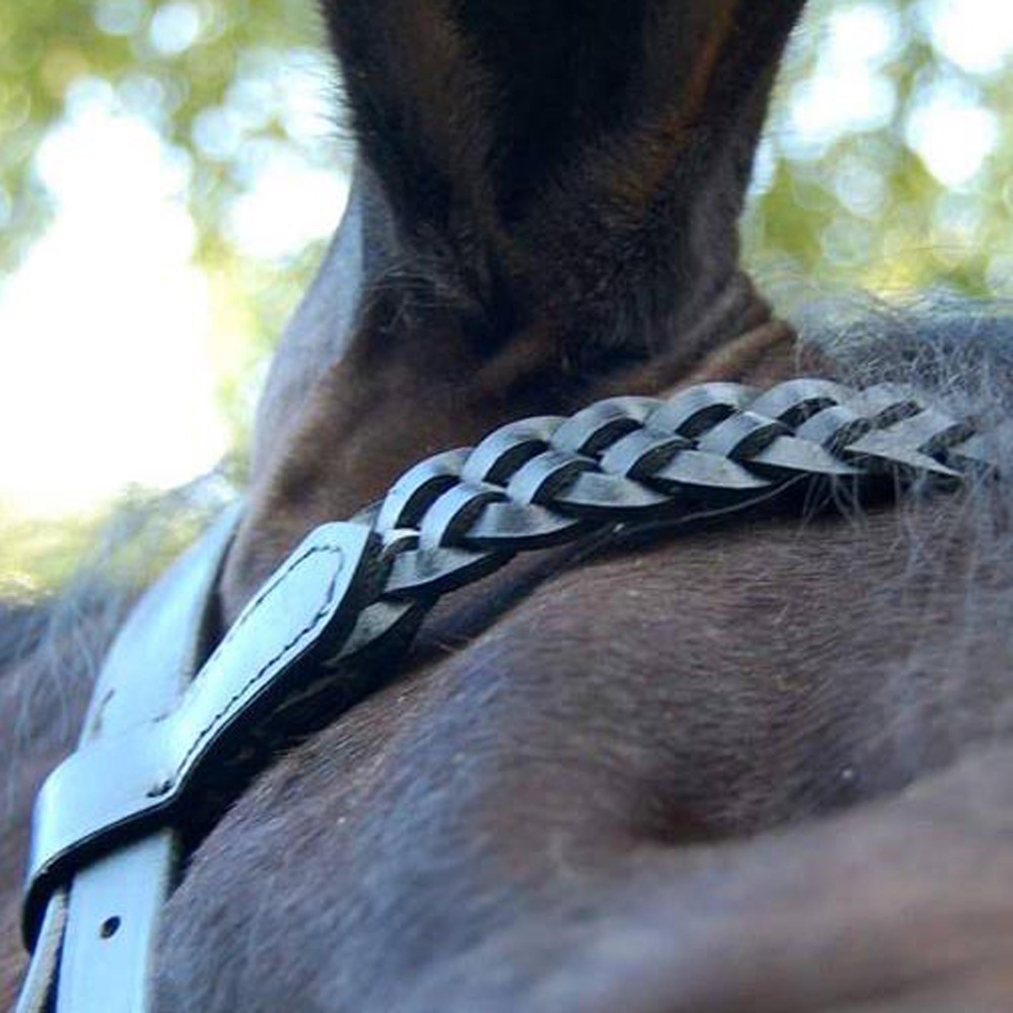 Premium Quality - Italian Cow Harness Leather - Hunter Bridle - Braided Brow-band - English Nose-band - Braided Leather Reins