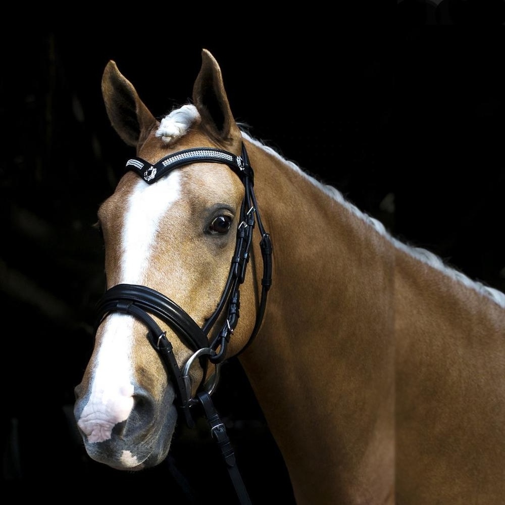 Best Quality White Padded Hanoverian noseband V Shape Brow band American Cow Harness Leather Horse Bridle