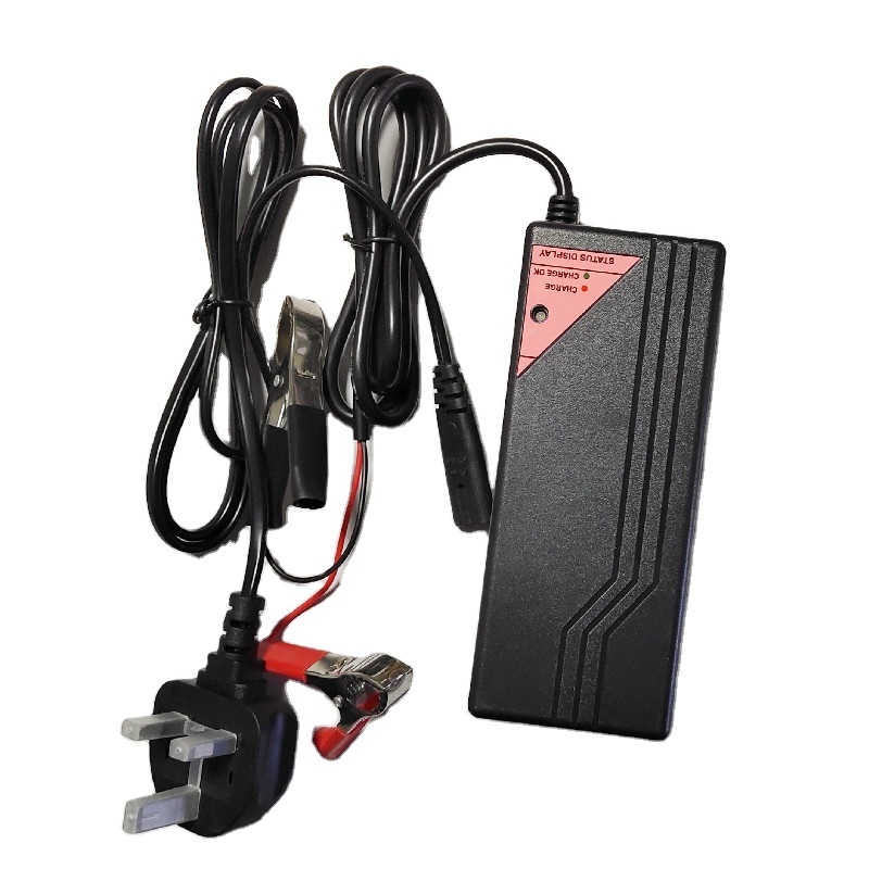 12V 10A Lead acid battery charger