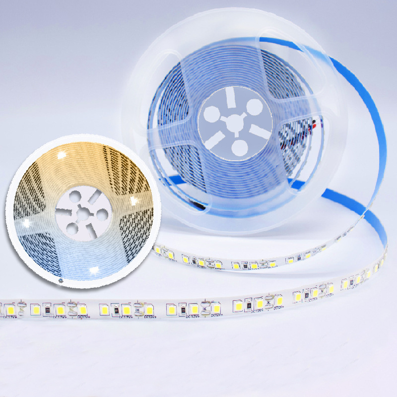 Flexible DC12v 24v SMD2835 120leds 5m Indoor IP20 CRI 80 Warm Cool White 2700k 6000k Led Strip Light