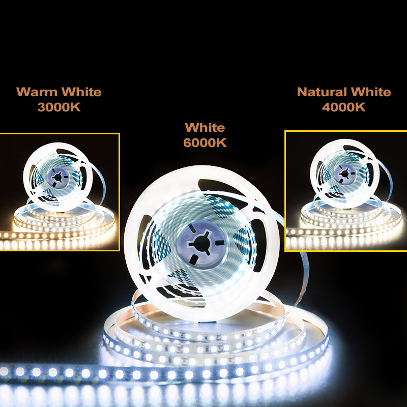 Flexible DC12v 24v SMD2835 120leds 5m Indoor IP20 CRI 80 Warm Cool White 2700k 6000k Led Strip Light