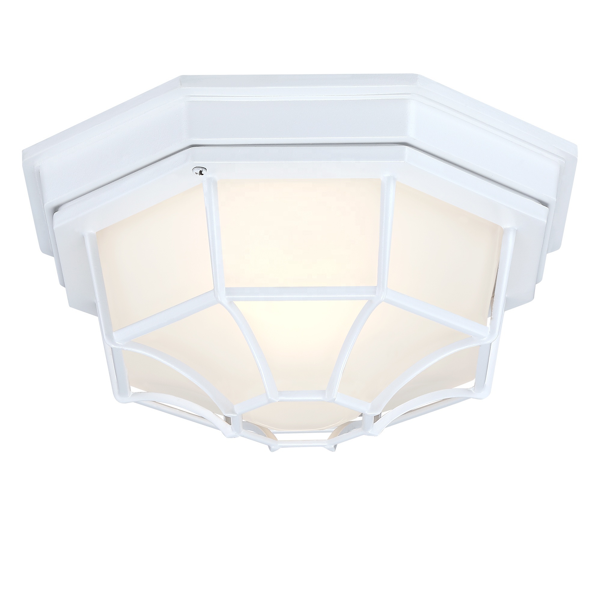 Die Cast Outdoor Flush Mount Ceiling Light Outdoor Incandescent white Medium Base LED Ceiling light