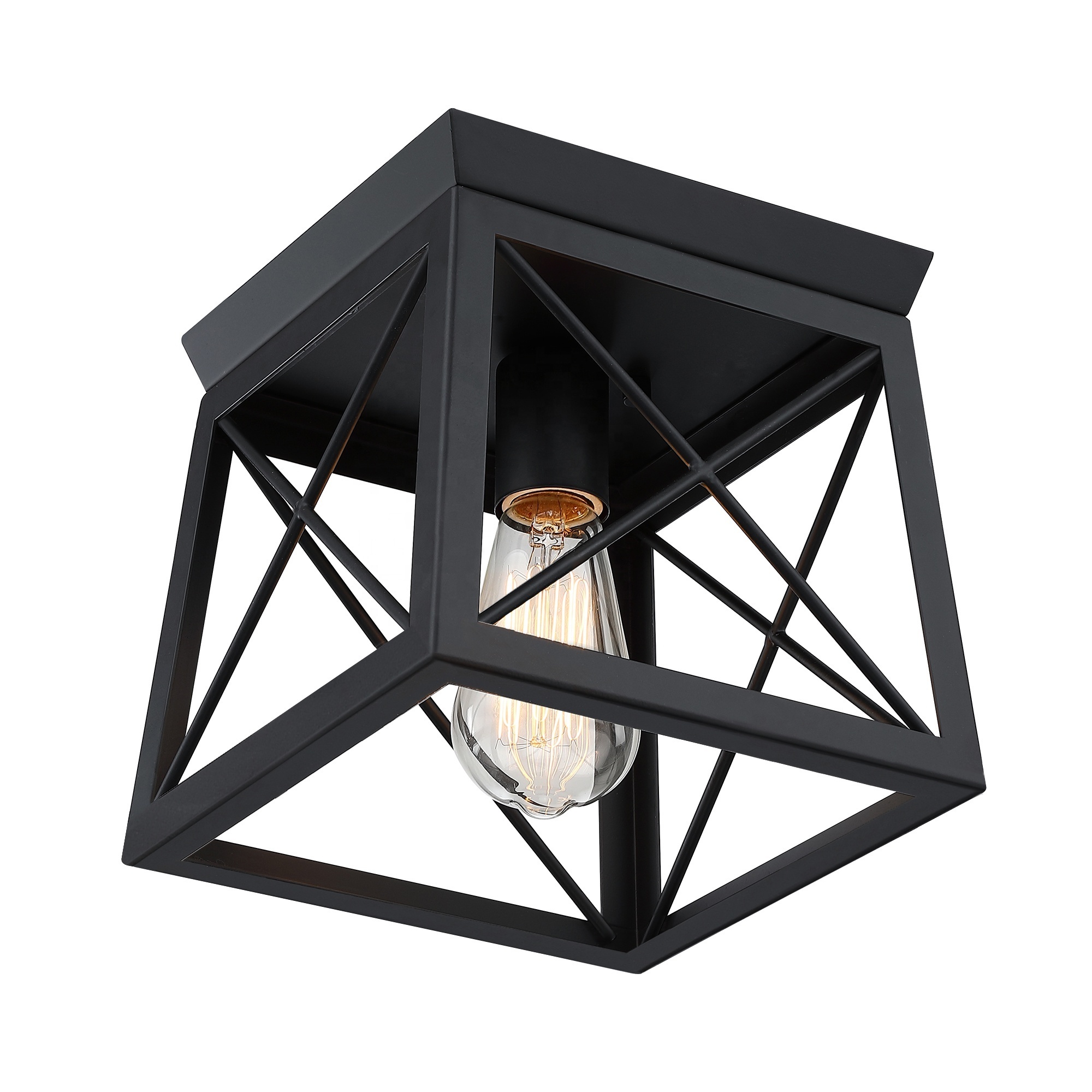 1-Light Flush Mount Ceiling Light Fixture Black Industrial Porch Stairways Dinning Room Bedroom Farmhouse Cage