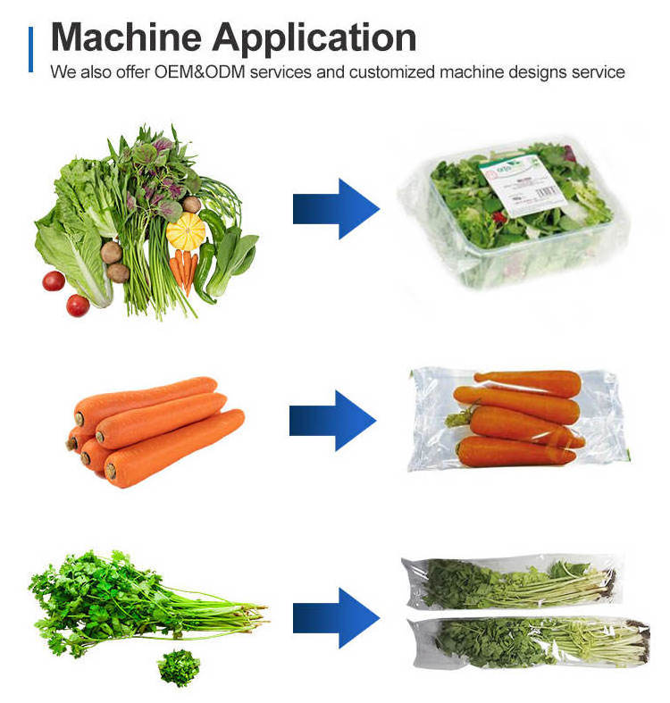 Fully Automatic Horizontal Wrapping Flow Pack Packing Machine Ice Cream Lolly Popsicle Packaging Machine