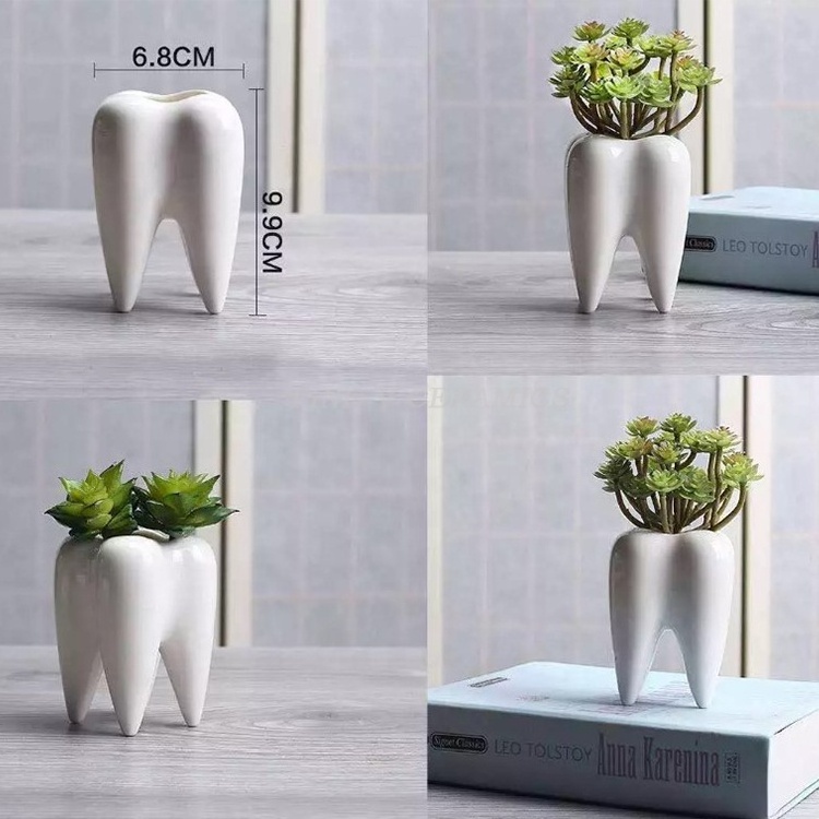 Creative Tooth Shaped Pen Pencil Holder Toothbrush Holder Ceramic White Bonsai Pot Succulent Plant Pot Dentist Gift