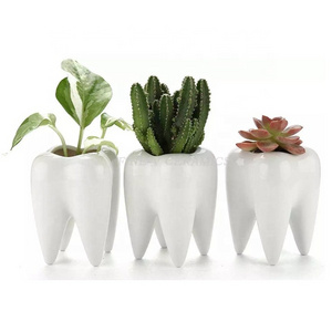 Creative Tooth Shaped Pen Pencil Holder Toothbrush Holder Ceramic White Bonsai Pot Succulent Plant Pot Dentist Gift