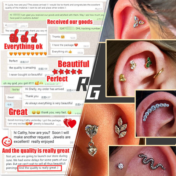 Right Grand 316L Surgical Stainless Steel Hinged Nose Rings Septum Clicker Body Piercing Lip Rings Helix Cartilage Rook Earrings