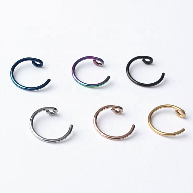 Factory Wholesale Rainbow Color Surgical Stainless Steel Free Sample Nose Ring Piercing Body Jewelry Indian