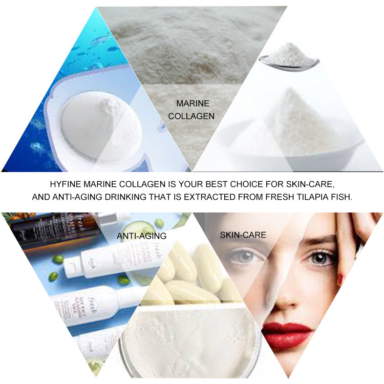 Pure Hydrolysate Marine Fish Collagen Powder Fisk Scale Peptide Powder For Skin Whitening