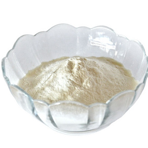 Sale Private Label Body Building Protein Powder in Bulk