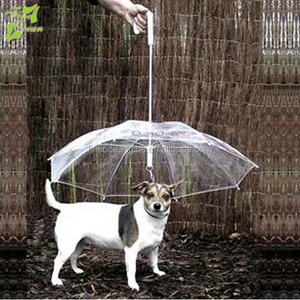 Wholesale custom design logo print recycled pet dog transparent umbrellas for the rain