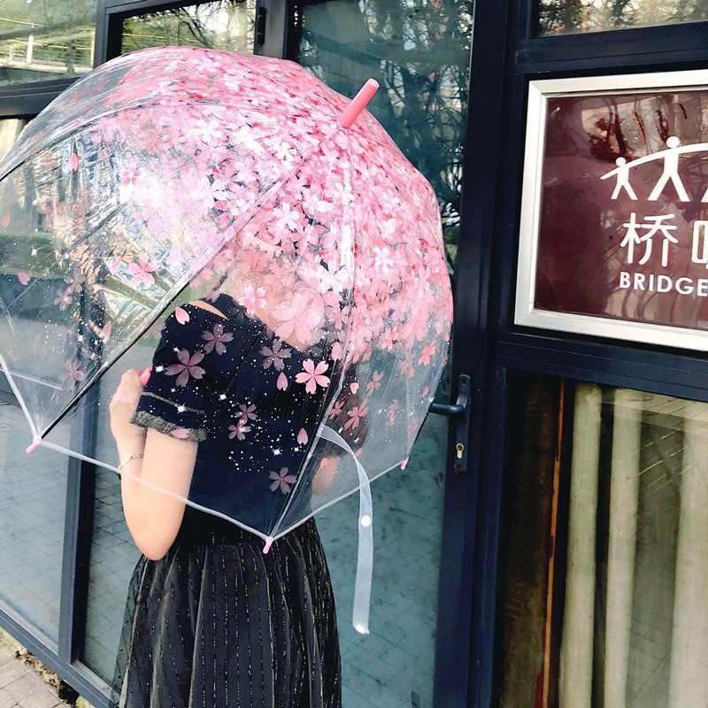 Fine Ocean  Sakura Umbrella Long Handle Korean  Candy Transparent Umbrella Small Fresh Apollo Princess Umbrella