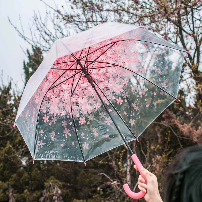 Fine Ocean  Sakura Umbrella Long Handle Korean  Candy Transparent Umbrella Small Fresh Apollo Princess Umbrella