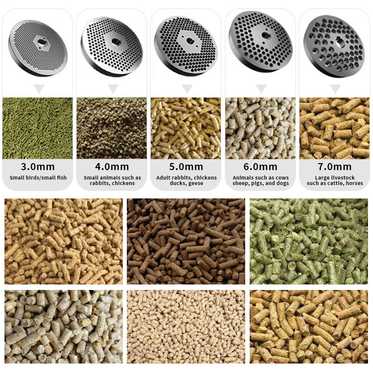 Mini chicken cattle animal feed food pellet making machine poultry feed pellet mill pelletizer machine