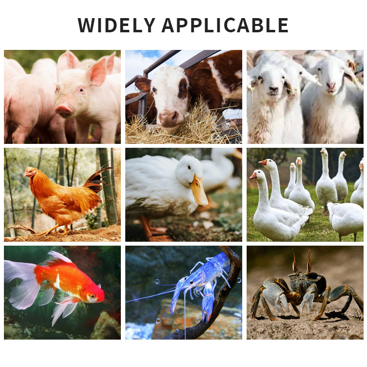 automation Animals Feed Pallet Maker Cat Floating Fish Feeds Pellet Making Machine Poultry Feed Processing Machinery