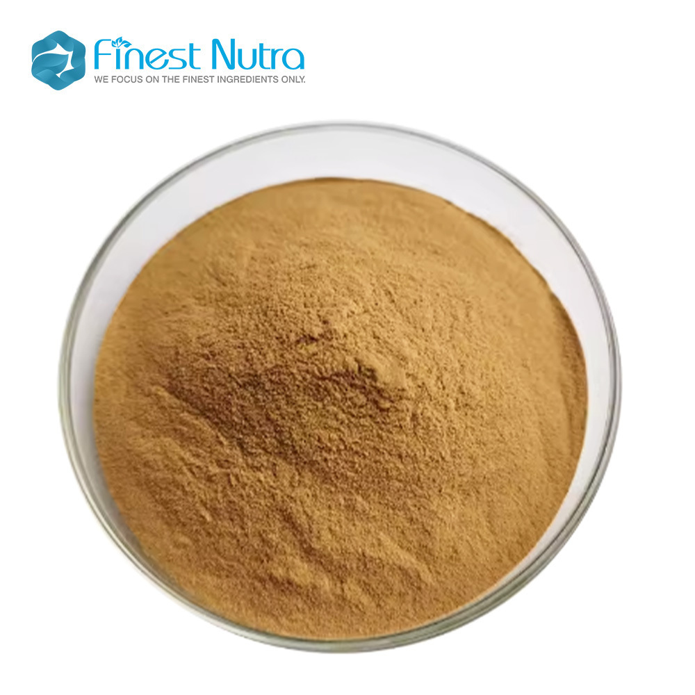 Organic 30% Polysaccharides Flammulina velutipes powder Enoki Mushroom Extract