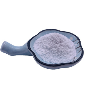 Finest Supply High Quality White Kidney Bean Extract  Powder