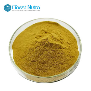 Factory Supply Cantharellus Cibarius Powder Natural Chanterelles Mushrooms Extract Powder