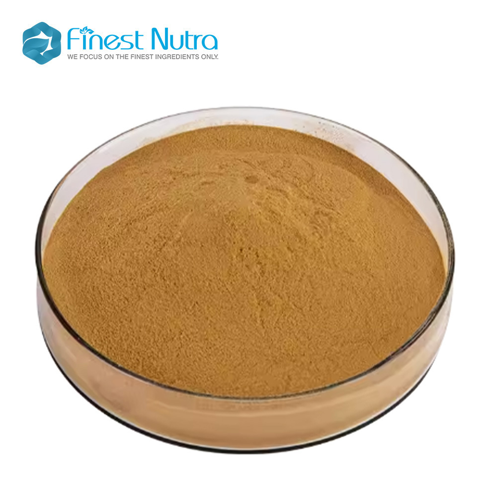 Organic 30% Polysaccharides Flammulina velutipes powder Enoki Mushroom Extract