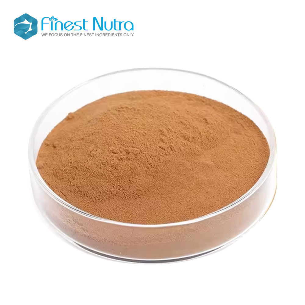 Wholesale price Agrocybe Aegerita extract/Tea Tree Mushroom extract Polysaccharides 30%