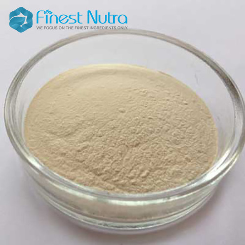 Water Soluble Food Additive Yeast Extract Powder 10%-85% Yeast Beta Glucan