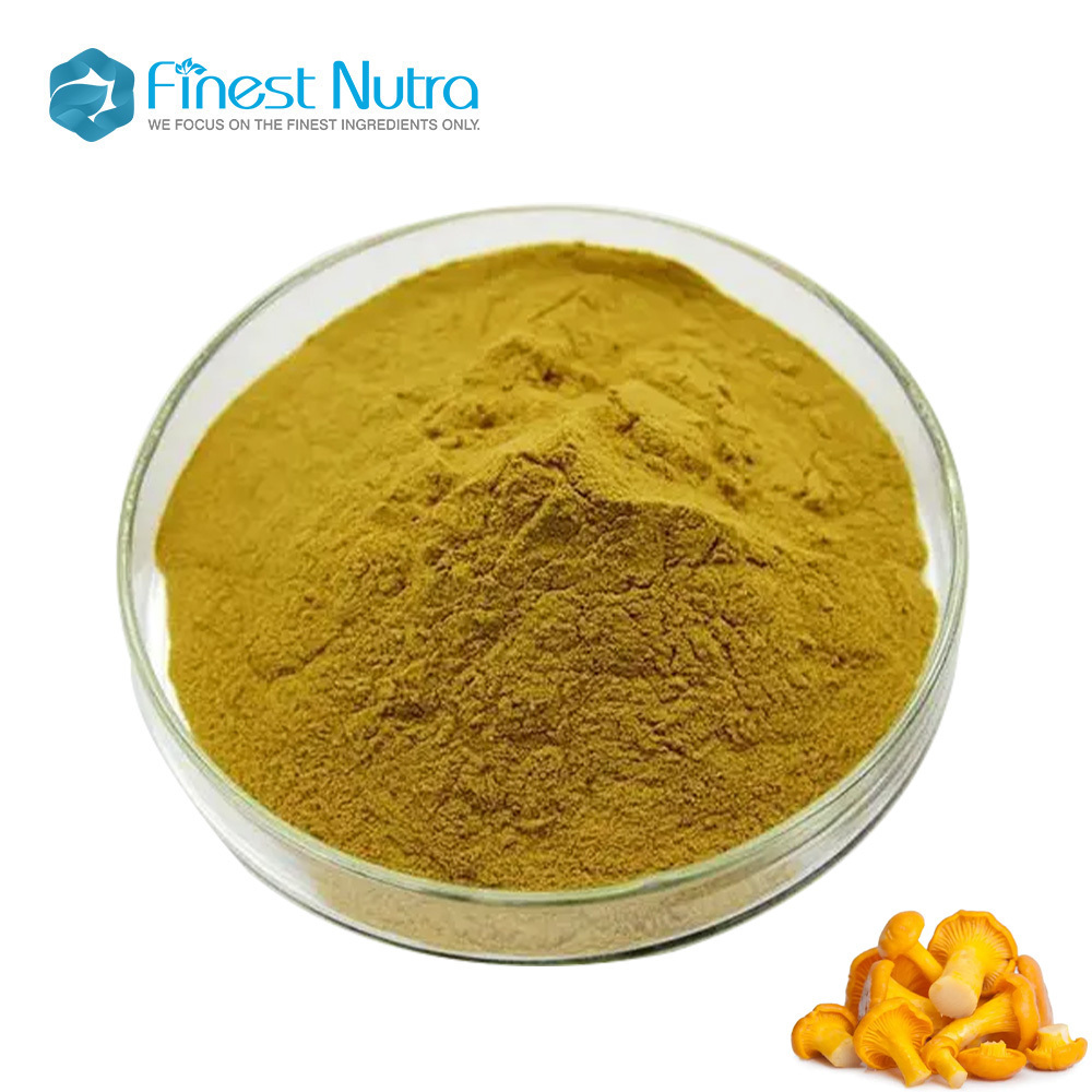 Factory Supply Cantharellus Cibarius Powder Natural Chanterelles Mushrooms Extract Powder