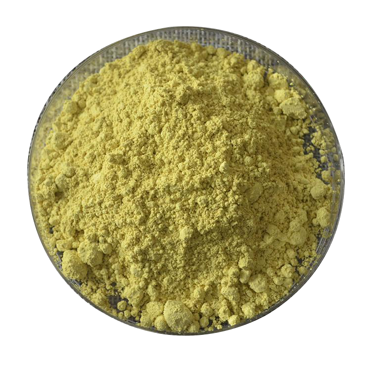 Hot sell Sophora Japonica Extract 98% Quercetin