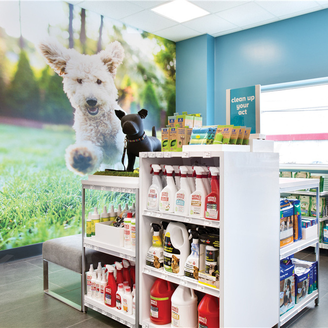 Modern Pets Shop Interior Layout Design Customized Retail Pet Dog Clothing Stand Product Display Pet Display Case