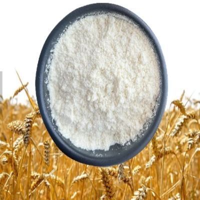 Factory Vital Wheat Gluten Price Food Grade Vital Wheat Gluten Flour Powder Suppliers for Food Additives