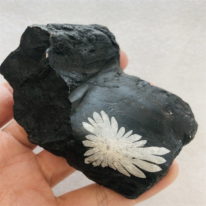 Natural Raw Chrysanthemum Stone Rough Crystal Mineral Specimen Chrysanthemum Tumble Stone Healing Ammonite For Decoration