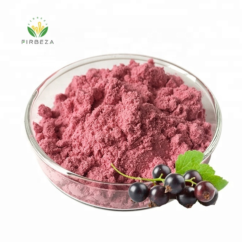 Bulk Price 20:1 Black Currant Extract Powder Pure Organic Blackcurrant Fruit Juice Powder