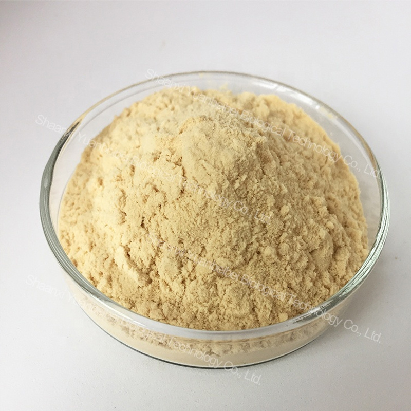 Factory Price 98% Luteolin Powder High Quality Natural Sophora Japonica Extract